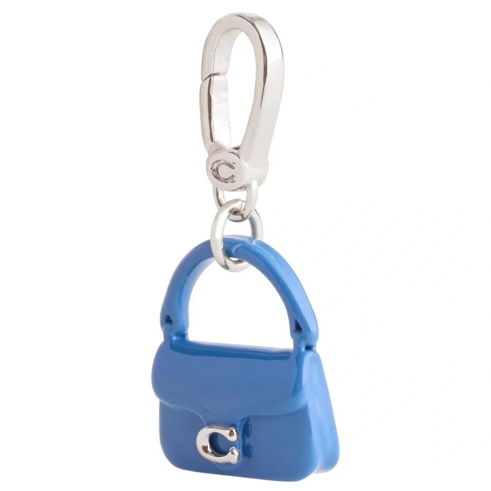 Coach stylish sky